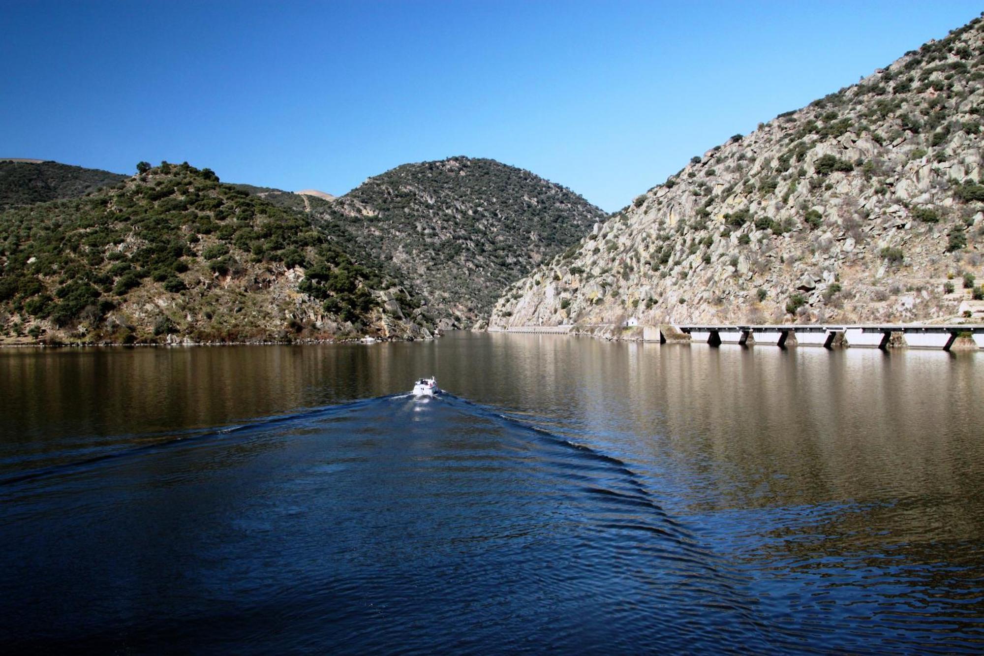Douro Yacht Charter & Bungalows Сан-Жуан-да-Пешкейра Номер фото