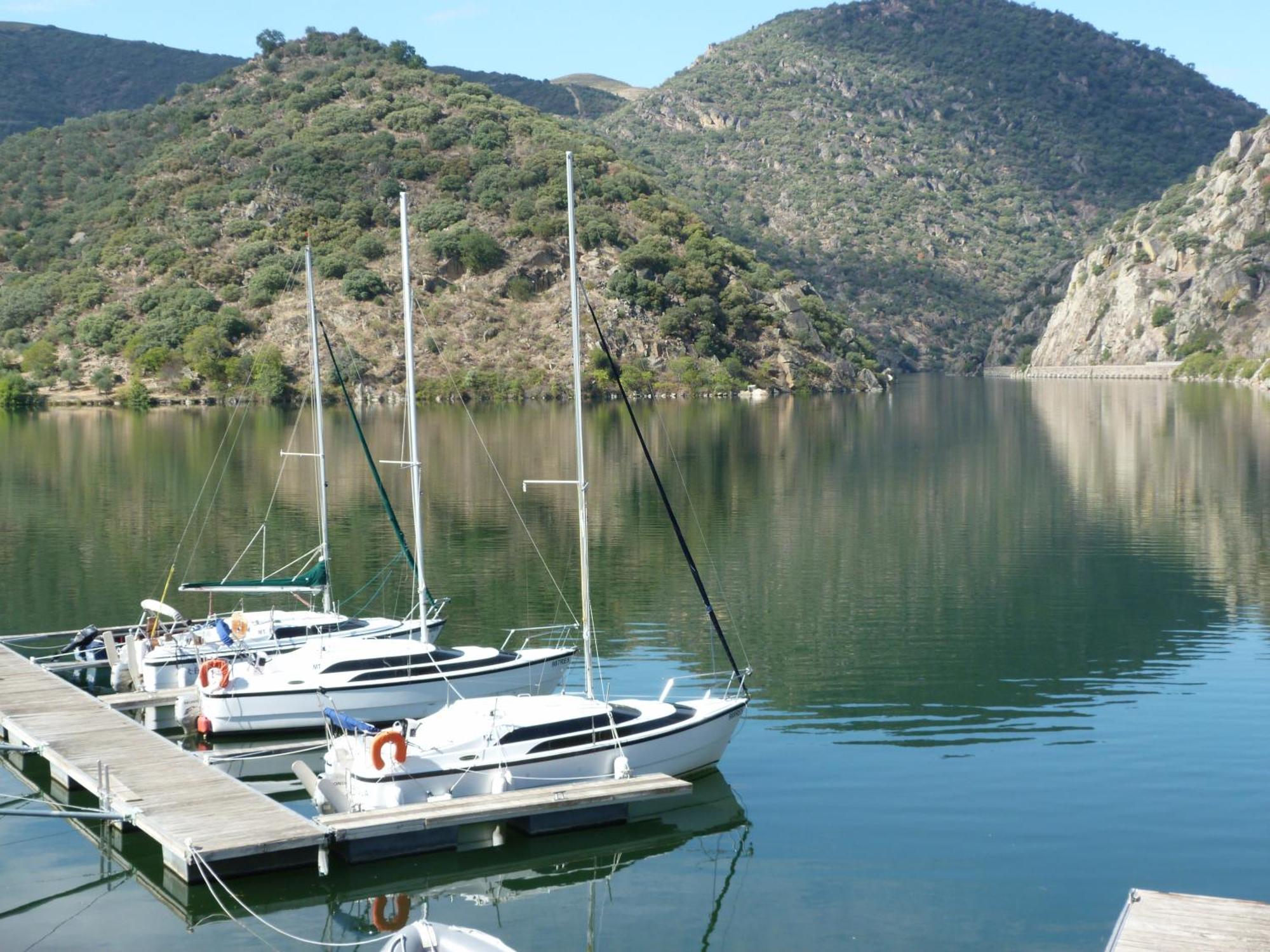 Douro Yacht Charter & Bungalows Сан-Жуан-да-Пешкейра Экстерьер фото