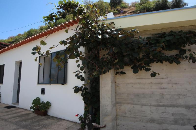 Douro Yacht Charter & Bungalows Сан-Жуан-да-Пешкейра Экстерьер фото