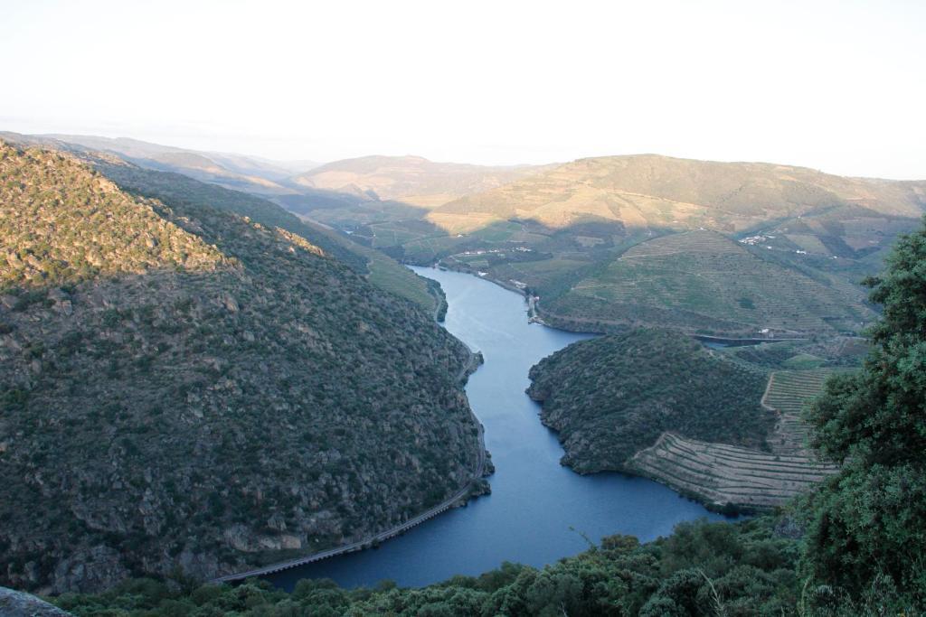 Douro Yacht Charter & Bungalows Сан-Жуан-да-Пешкейра Экстерьер фото
