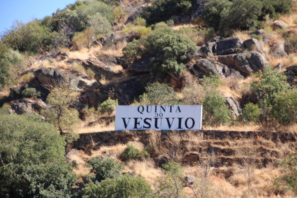 Douro Yacht Charter & Bungalows Сан-Жуан-да-Пешкейра Экстерьер фото