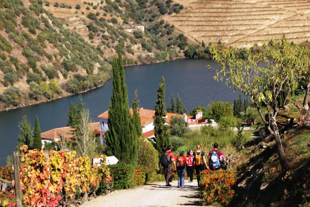 Douro Yacht Charter & Bungalows Сан-Жуан-да-Пешкейра Экстерьер фото