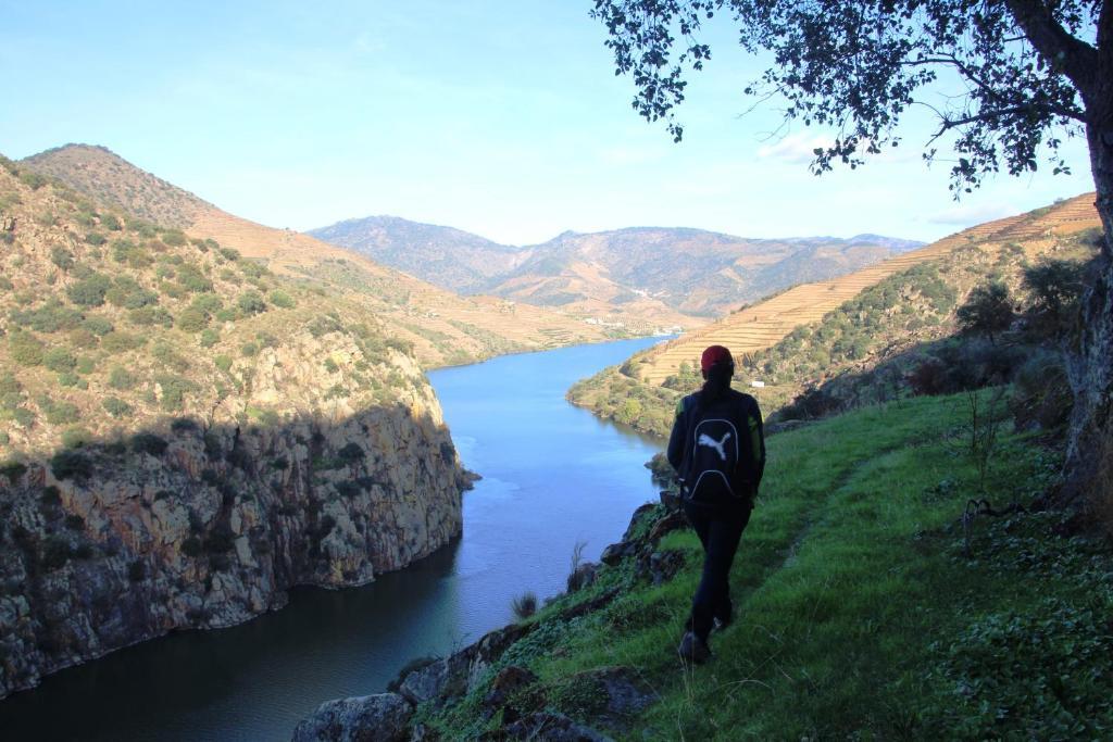 Douro Yacht Charter & Bungalows Сан-Жуан-да-Пешкейра Экстерьер фото