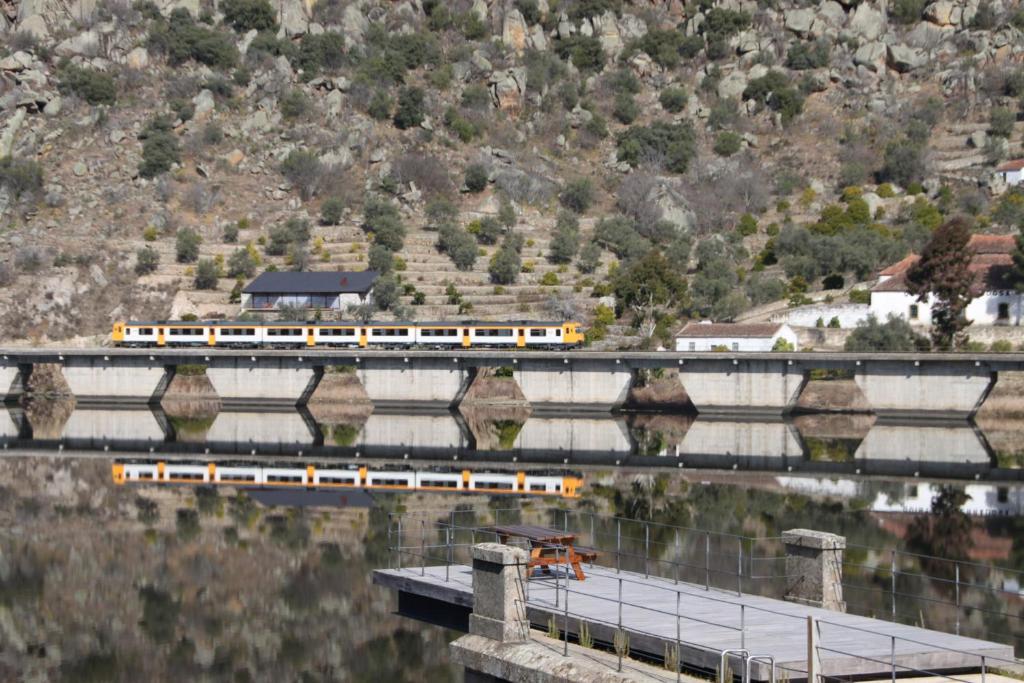 Douro Yacht Charter & Bungalows Сан-Жуан-да-Пешкейра Экстерьер фото
